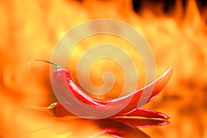 red chili pepper, on a background of burning fire, flames on a black background, hot and spicy spices