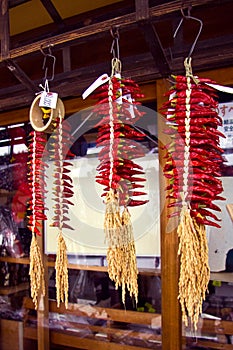 Red chili pepper ear decoration