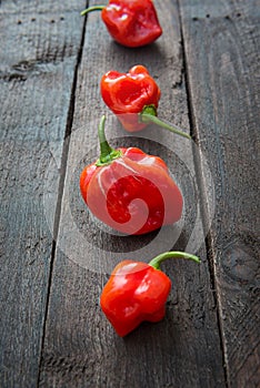 Red Chili pepper Habanero