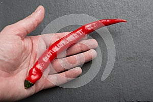 Red chili pepper in hand
