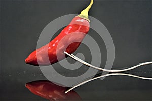 Red chili pepper ingredient spices vegetable food