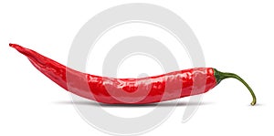 Red chili pepper isolated