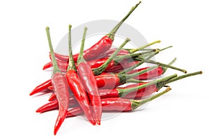 Red chili pepper isolated