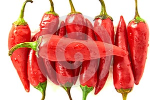 Red Chili pepper. isolated on white background