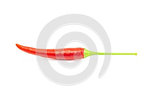 Red chili pepper isolated on white background