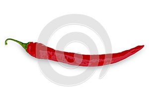 Red chili pepper isolated on white background _ Chile de Ã¡rbol