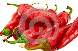 Red Chili pepper. isolated on white background photo