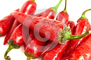 Red Chili pepper. isolated on white background photo