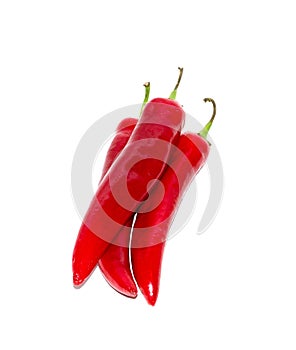 Red chili pepper isolated on white. food, object.