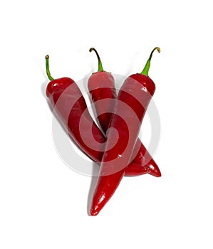 Red chili pepper isolated on white. food, object.