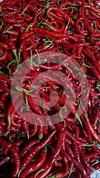 Red chili pepper in large quantities