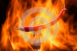 red chili pepper, pricked on a fork, on a background of burning fire, flames on a black background photo