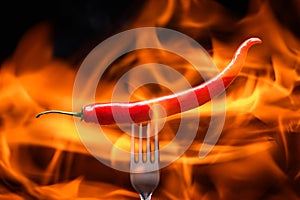 red chili pepper, pricked on a fork, on a background of burning fire, flames on a black background photo