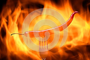 red chili pepper, pricked on a fork, on a background of burning fire, flames on a black background