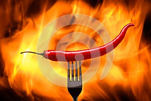 red chili pepper, pricked on a fork, on a background of burning fire, flames on a black background