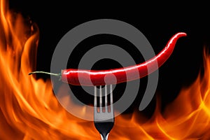 red chili pepper, pricked on a fork, on a background of burning fire, flames on a black background