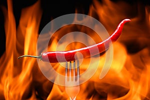 red chili pepper, pricked on a fork, on a background of burning fire, flames on a black background