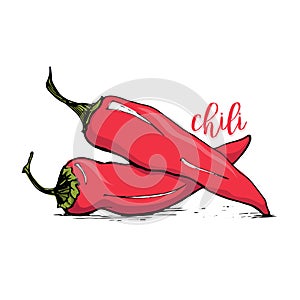 Red chili pepper sketch style vector illustration