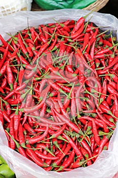 Red chili pepper sold in a food street market