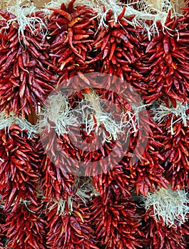 Red Chili Pepper Strands