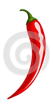 Red chili pepper. Vector illustration. photo