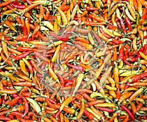 Red chili pepper wallpaper