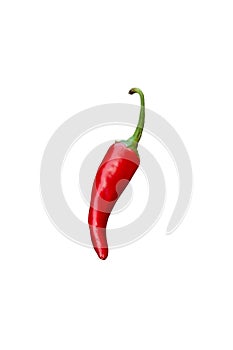 Red chili pepper on white background