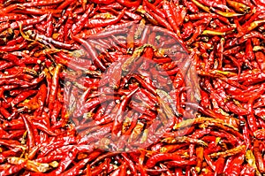 Red Chili peppers background