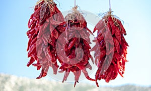 Red Chili Peppers bunches hanging at farmers market in New Mexico USA