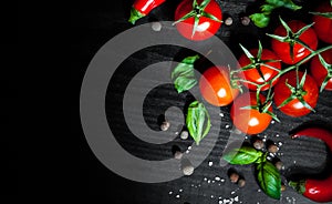 Red chili peppers, cherry tomato, basil, black pepper, salt on dark wooden background with copy space. top view