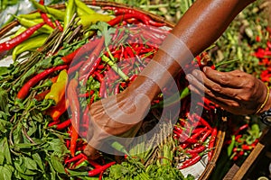 Red chili peppers, closeup view