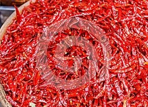 Red Chili peppers for dehydration