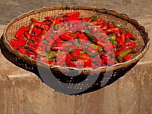 Red chili peppers drying in the sun in Bhutan