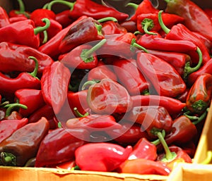 Red chili peppers at the farmers market.