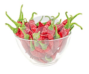 Red chili peppers in glass bowl isolated