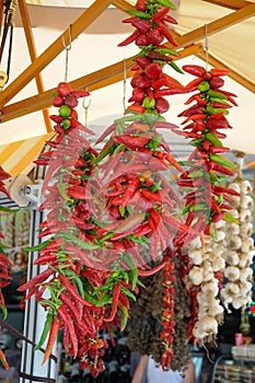 Red chili peppers hanging for sale at the street Market