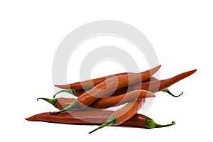 Red chili peppers isolated on white background. Ripe chili peppers with copy space