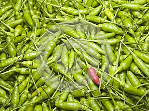 A Red Chili In A Pile of Green Chilies