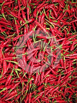 Red chilies captured from top angle at the market