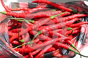 red chilies in plastic bags