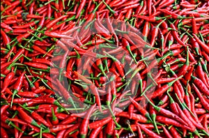 Red chilli as abstract background, to add color, aroma and spicyness to your cooking