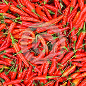 red chilli background