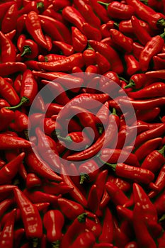 Red chilli background
