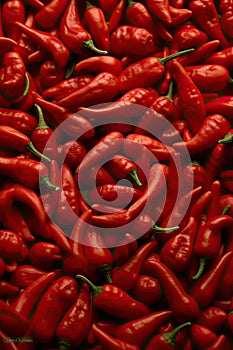 Red chilli background