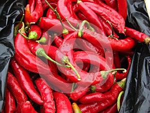 Red chilli background, in the market photo