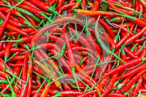 Red Chilli Background