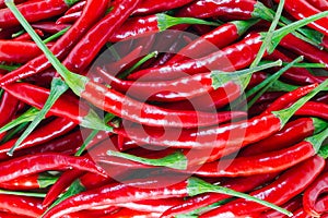 Red chilli background
