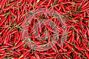 Red chilli background
