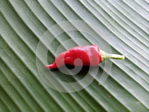 Red chilli on banana leaf