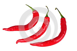 Red Chilli photo